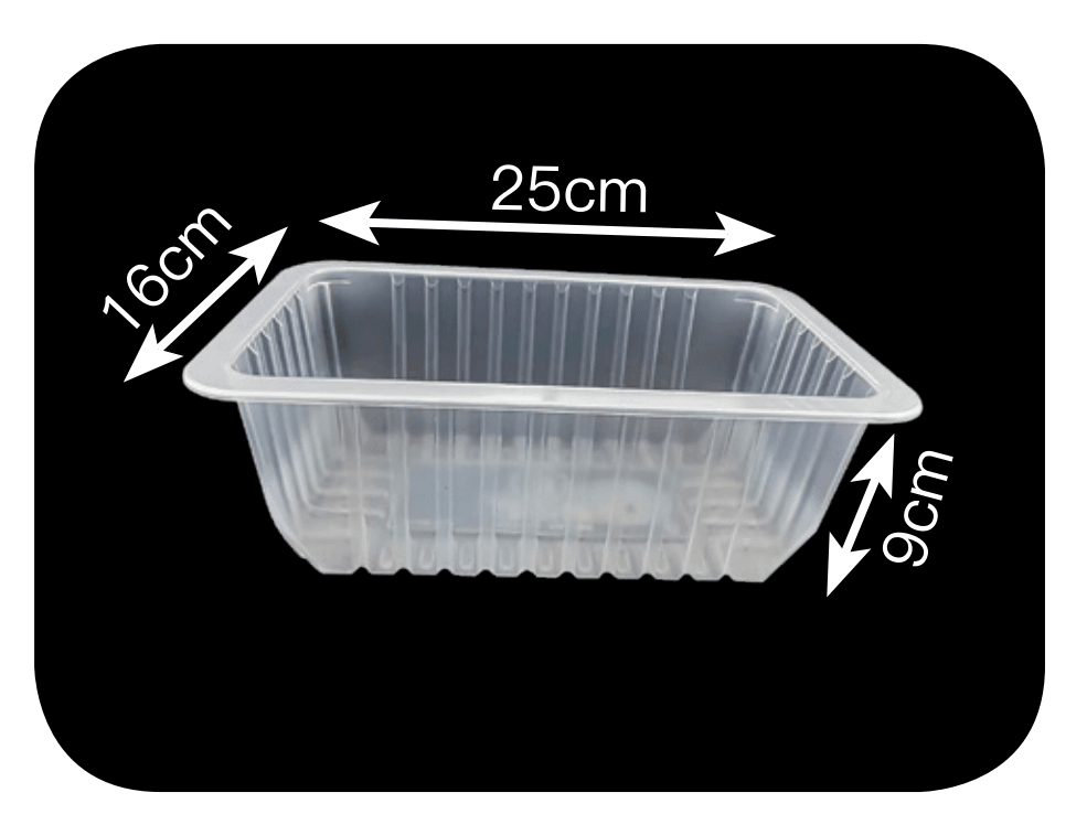 White Rectangle Food Container